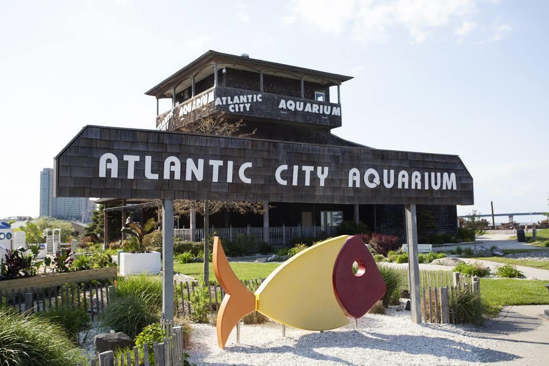 Aquarium d'Atlantic City